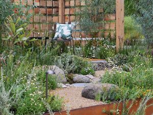 A garden corner with a timber and wire mesh trellis, surrounded by lush native plants, rocks, and a chair with a patterned cushion
