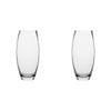 2PK Ecology Fleur Barrel Glass Vase Decorative Flower Vessel 25cm