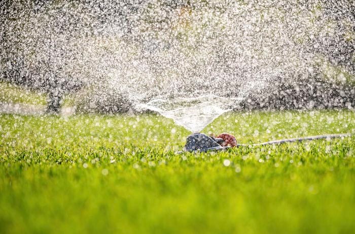 Smart summer watering: Timing for thriving lawns