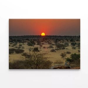 Nature View with Trees & a Sunset  Print 100% Australian Made 90 x 60cm  (Stretched)
