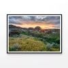 Provincial Park in the Alberta  Print 100% Australian Made 90x60cm  (Poster)