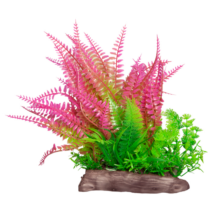 Aqua One Ecoscape Large Wide Liquorice Fern Pink/Hottonia Green (28265)