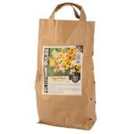 Bloomin Bulbs Mixed Daffodil Bulb - 50 Pack