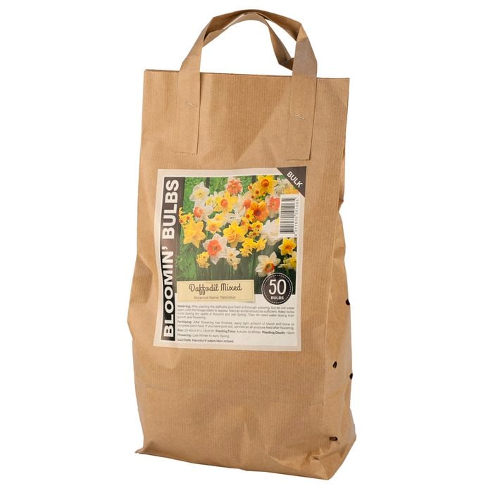 Bloomin Bulbs Mixed Daffodil Bulb - 50 Pack