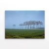 A Grassy Field with Trees, Sky  Print 100% Australian Made 75 x 50cm  (Stretched)