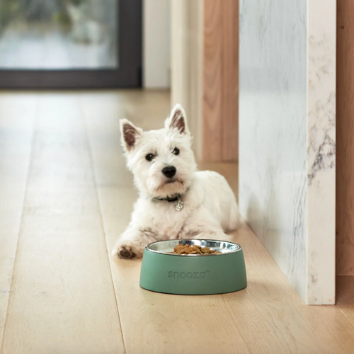 Concrete dog bowl australia best sale