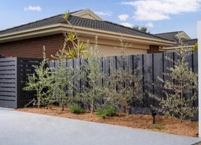 A fence at the front of a house with trees in front of the fence