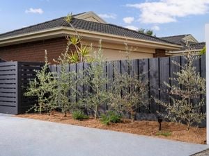 Richgro 70L Pine Bark Mulch