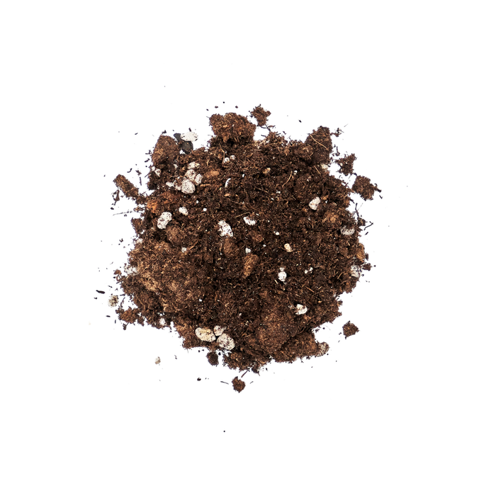 Scotts Osmocote 10L Indoor Plants Premium Potting Mix