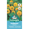 Fothergill's Sunflower Teddy Bear Seeds