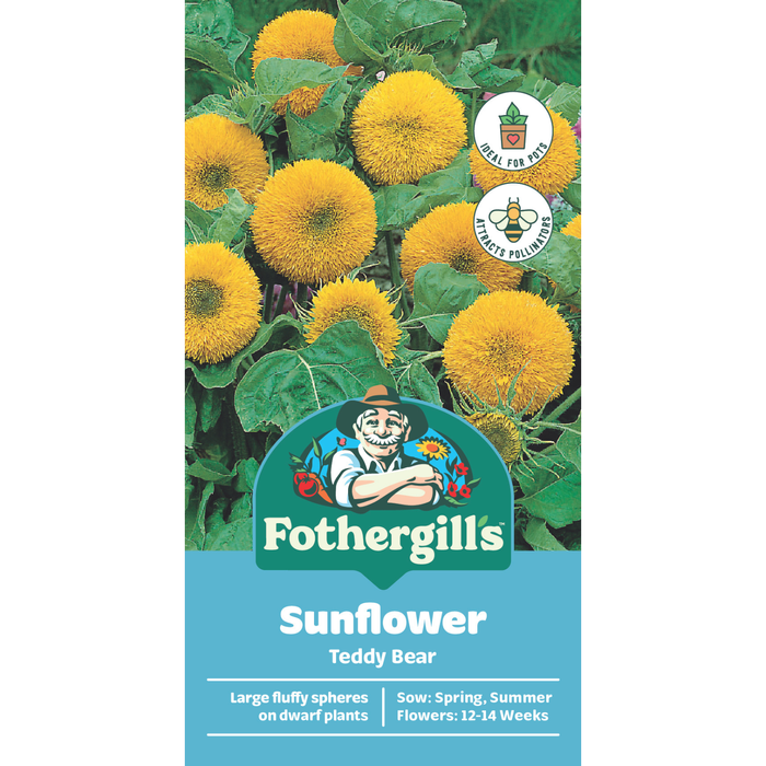 Fothergill's Sunflower Teddy Bear Seeds