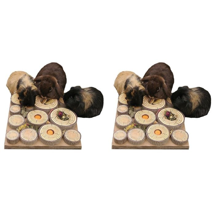 2PK Rosewood Maze-A-Log 30cm Rabbit/Guinea Pig Treat Challenge Pet Feeder Natural