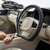 Australian Goose Steering Wheel Cover for Tesla Model 3 2017 - 2023 D-shape Black