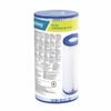 Bestway Type III Pool Filter Cartridge