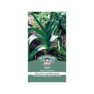Mr Fothergill's Leek Giant Elephant