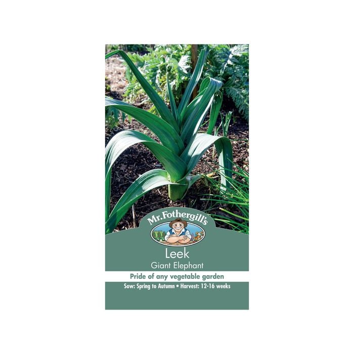 Mr Fothergill's Leek Giant Elephant