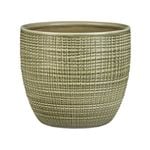 Scheurich 16cm Green Corteza Pot