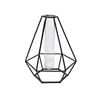 Jack 160 x 140 x 200mm Diamond Black Plant Propagation Vase