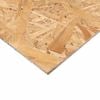 2440 x 900mm 6mm Braceboard H2 Treated OSB