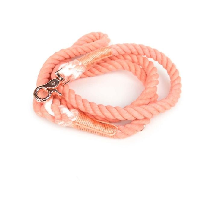 Holly & Co Tangerine 150cm Stylish Dog Rope Lead / Leash