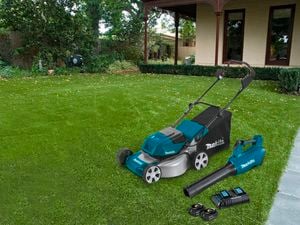 Outdoor garden with hedge plants,  lawnmower and leaf blower