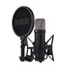 Rode NT1 5th Generation Hybrid Microphone (Black)