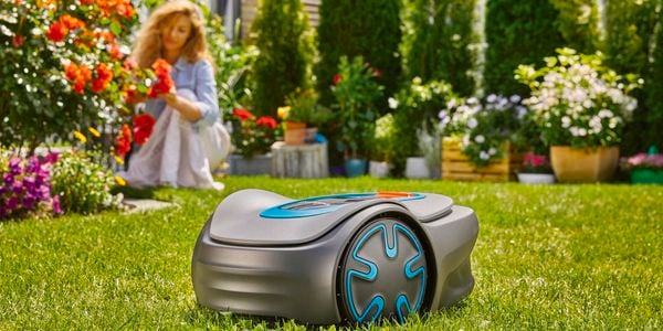 Gardena robotic lawn mower on the lawn with woman in background pruning roses