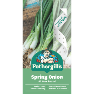 Fothergill's Spring Onion All Year Round Seed Tape