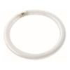 Nelson T8 Fluorescent 32W Natural White Tri-Phosphor Circular Tube