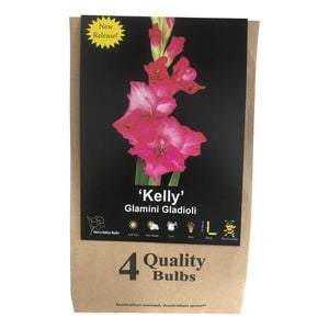 Yarra Valley Bulbs Gladioli Kelly - 4 Pack