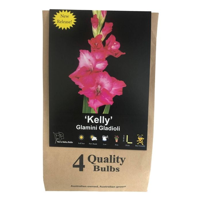 Yarra Valley Bulbs Gladioli Kelly - 4 Pack