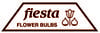 Fiesta Bulb Marketing 