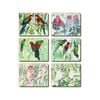 Cinnamon Cork Backed Coasters Set of 6 Australian Parrots