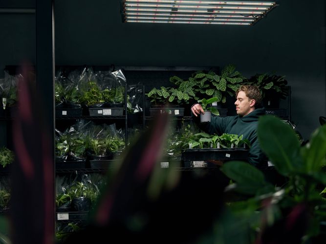 Trade Service - Commercial Greenlife - Image Gallery - 2
