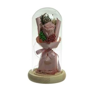 Preserved Dried Rose Flower 21cm Floral Set in Glass Dome w/ Fairy Lights in Pink - Pink/Pink | Preserved Flower