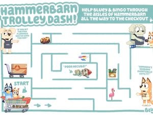 Blue Maze activity