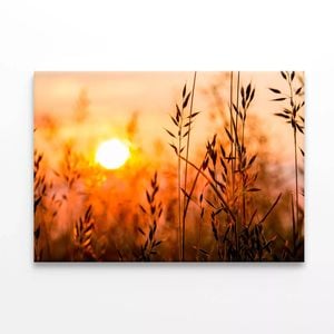 Close Up View of Sunrise Field  Print 100% Australian Made 90 x 60cm  (Stretched)