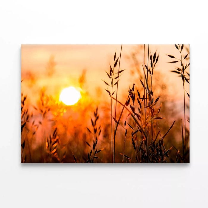 Close Up View of Sunrise Field  Print 100% Australian Made 90 x 60cm  (Stretched)