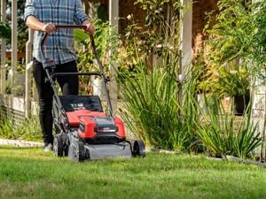 Person pushing a lawn mower over green grass