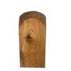 200 x 200mm 3.0m Dome Cypress Sawn Bollard