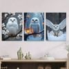3pcs Serene White Owl Magpies & Cherry Blossoms Print 100% Australian Made 3 x 40x60cm (Metal Print)