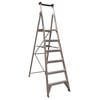 Easy Access 150kg 6 Step Platform Ladder