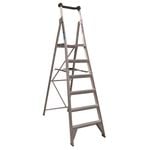 Easy Access 150kg 6 Step Platform Ladder