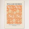 Galrie William Morris Wild Tulip Print from The Art Institute of Chicago (1884)- Wall Art, Wood Frame, 70 x 100cm (28 x 40inch)