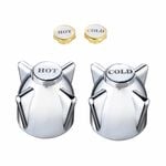 Shaw & Mason Chrome Zinc Die Cast Handles - Pair