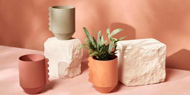 Feature Pot_Frill_