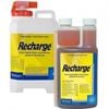 Recharge Horses Oral Rehydration Concentrate Solution 1L
