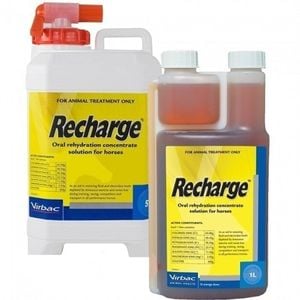 Recharge Horses Oral Rehydration Concentrate Solution 1L