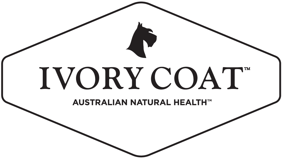 Ivory coat in the black and white colourway