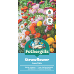 Fothergill's Strawflower Dwarf Mixed Flower Seeds